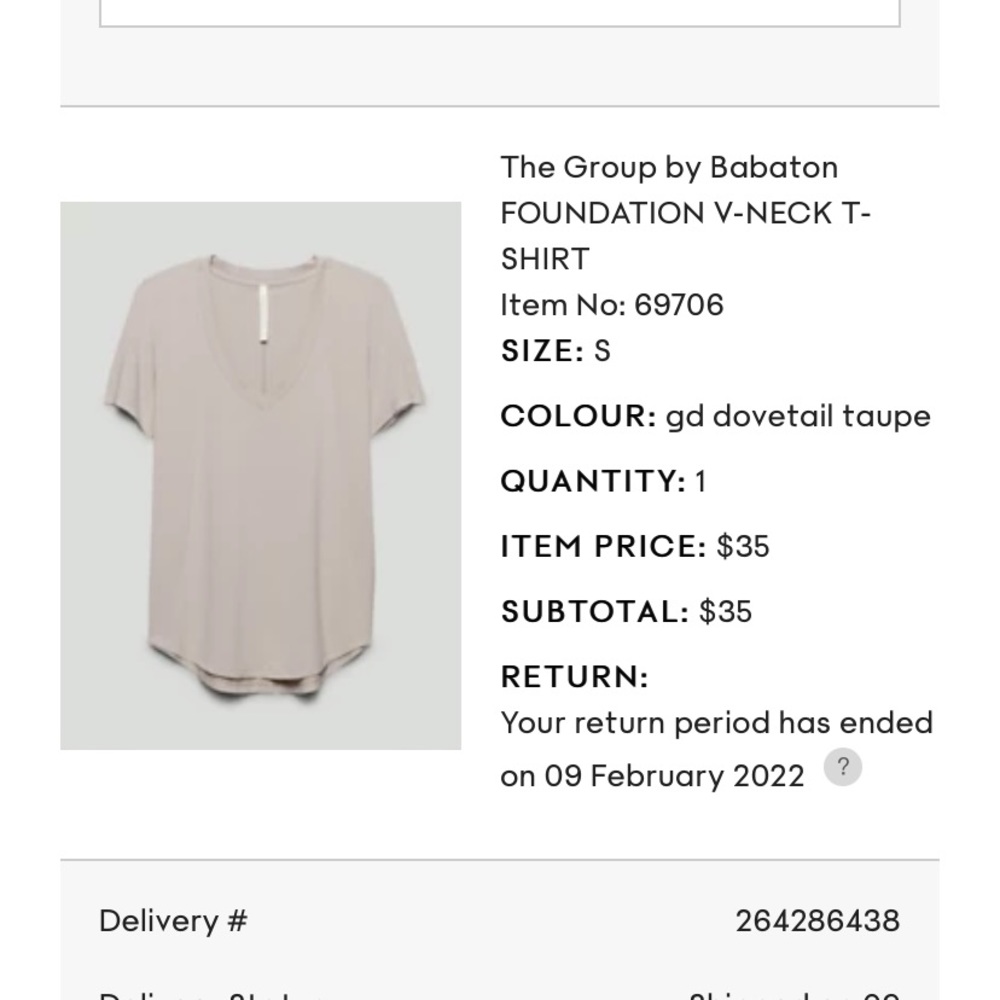 Aritzia The Group Foundation V-Neck T-Shirt in Dove Taupe